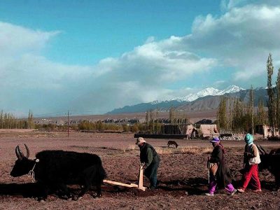 farming in ladakh